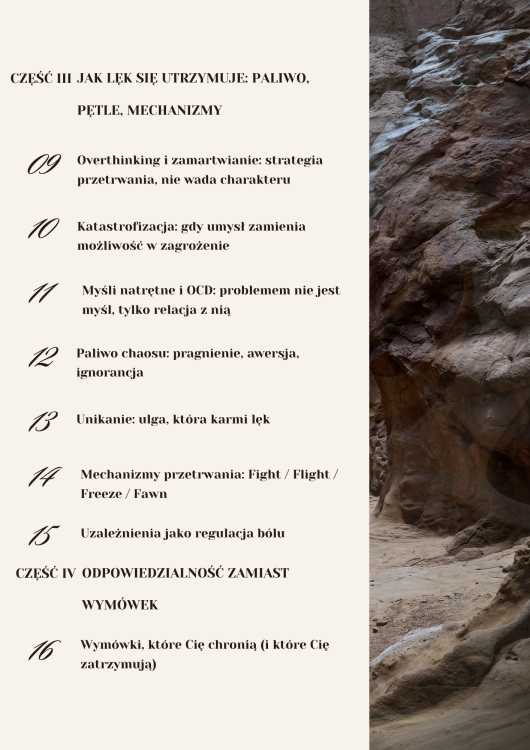 3 str lek.png